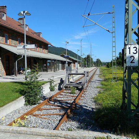 Hotel Garni Haus Alpine - Chiemgau Karte Inkl Ruhpolding Dış mekan fotoğraf
