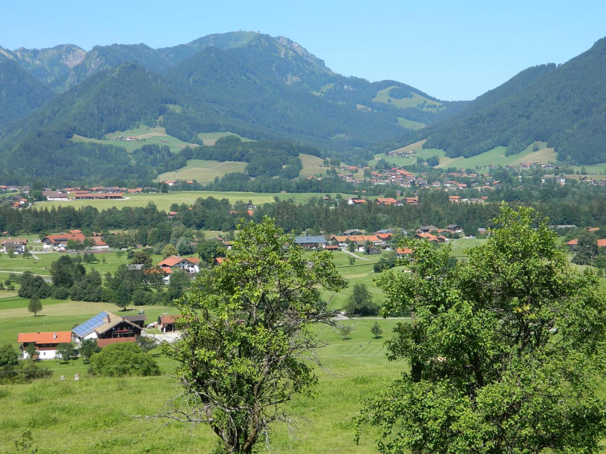 Hotel Garni Haus Alpine - Chiemgau Karte Inkl Ruhpolding Dış mekan fotoğraf